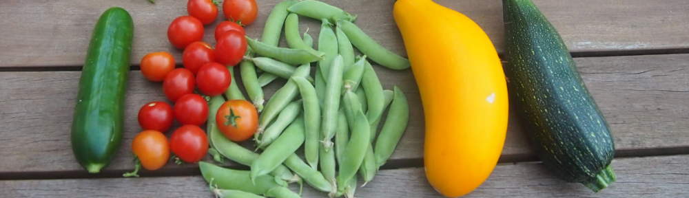 Das Gartenkonzept (I): Lasset uns beeten!